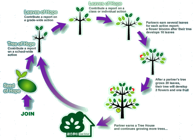 Tree house growth process